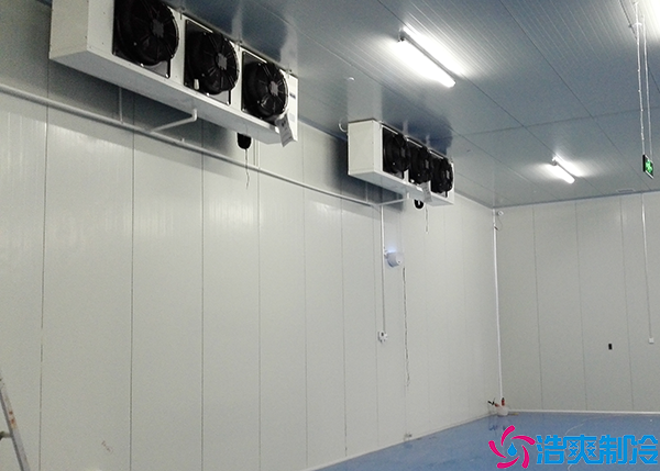 食品速凍日皮网站在线观看