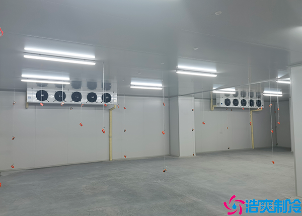 大型物流冷鏈日皮网站在线观看