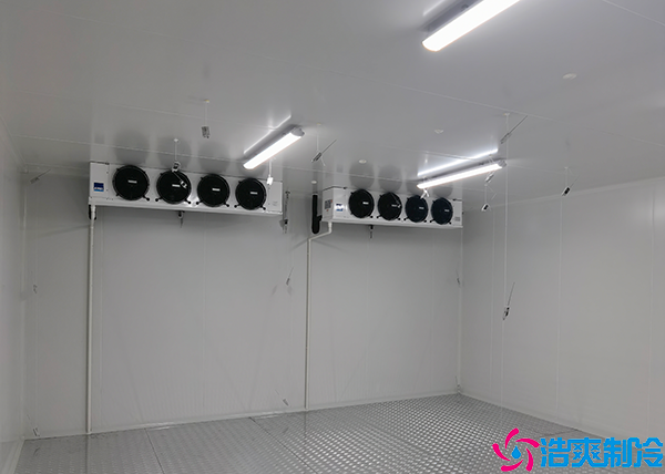 牛肉小型日皮网站在线观看