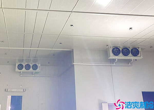 大型日皮网站在线观看