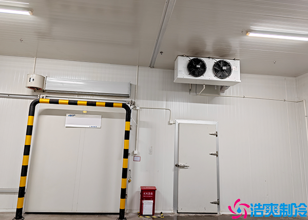 小型肉品日皮网站在线观看