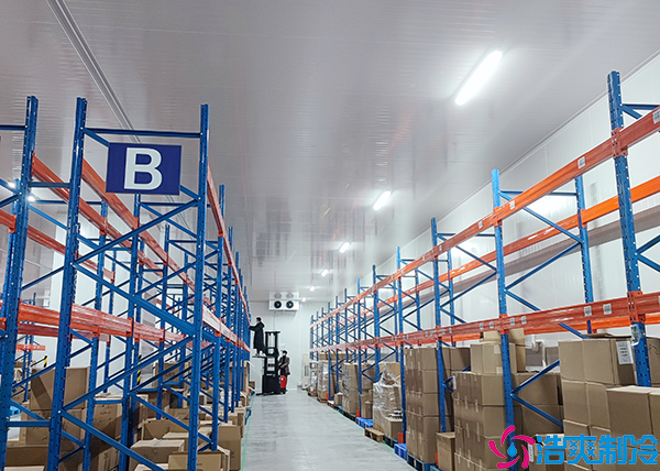 食品加工日皮网站在线观看