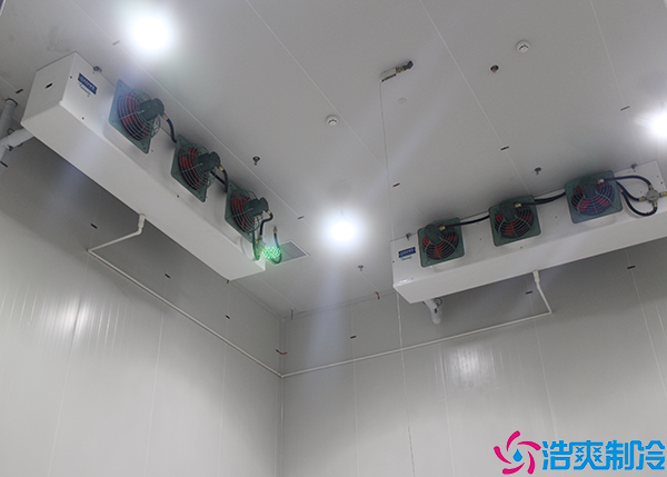 雙溫日皮网站在线观看