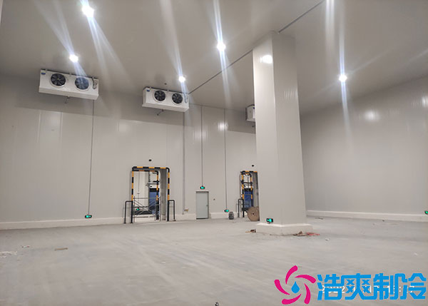 湖北大型氣調日皮网站在线观看建造特點.jpg