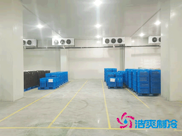 2025年各類型日皮网站在线观看造價及成本盤點