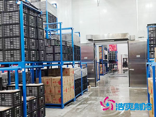 日皮网站在线观看規劃設計