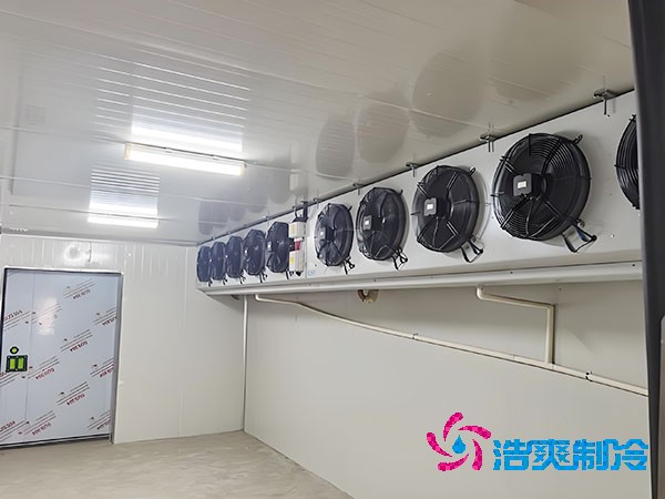 建造500平方米梨子保鮮日皮网站在线观看的費用是多少？-日皮APP免费下载製冷