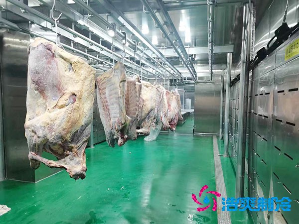建造800平方米肉製品日皮网站在线观看造價費用