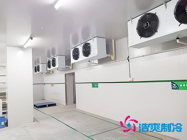 上海低溫日皮网站在线观看造價大概是多少錢