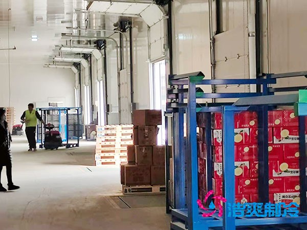 1000噸保鮮日皮网站在线观看造價