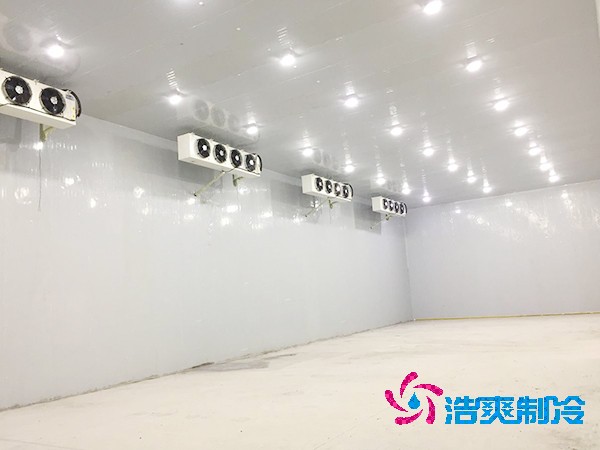 100噸蔬菜保鮮日皮网站在线观看造價