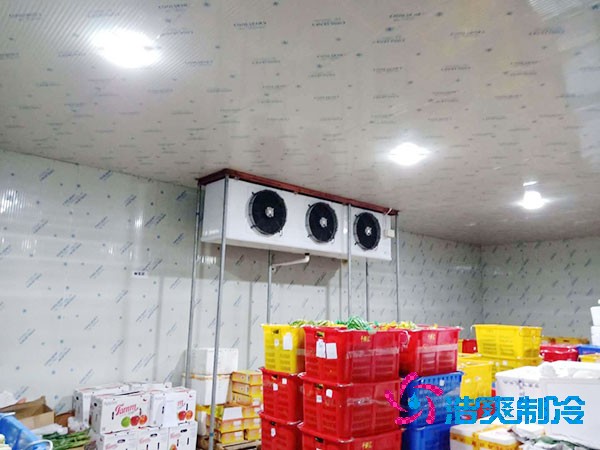 建設一個占地3000平方米的食品恒溫庫
