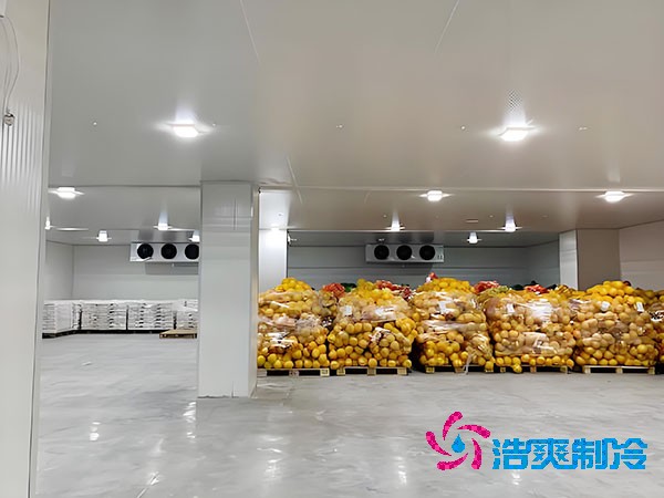 建設大型蔬菜保鮮庫的造價及安裝費用解析-日皮APP免费下载製冷