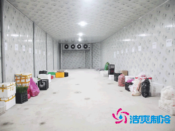 建設大型蔬菜保鮮庫的造價及安裝費用解析-日皮APP免费下载製冷