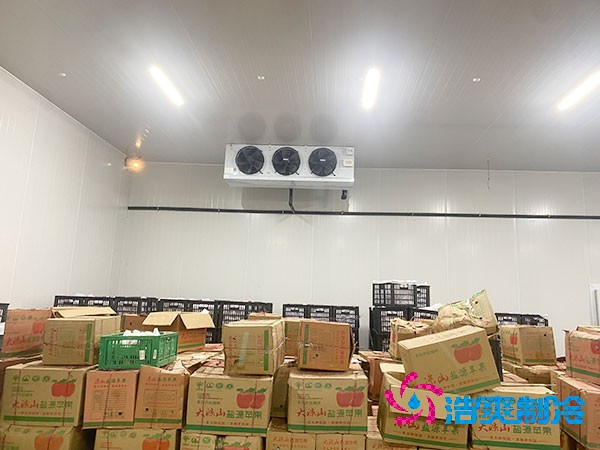 大型超市水果日皮网站在线观看建造費用大概多少錢?-日皮APP免费下载製冷