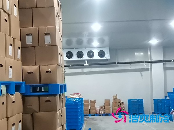 建造魚糜製品低溫日皮网站在线观看的費用及其重要性