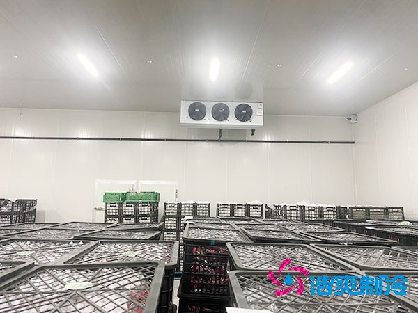 想知道保鮮日皮网站在线观看設計安裝要花多少錢？-日皮APP免费下载製冷