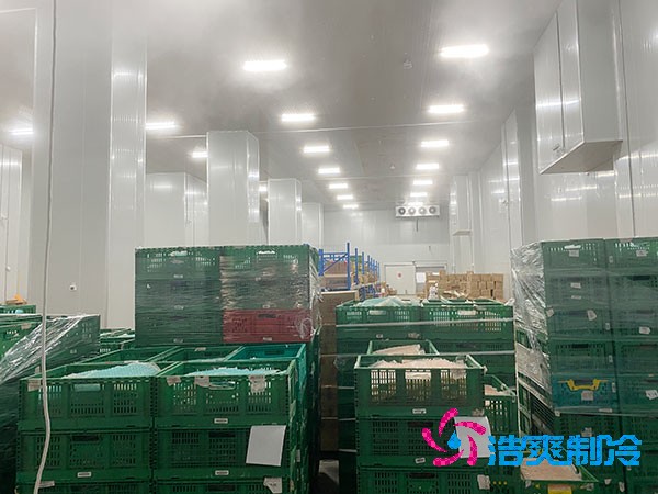 夏季蔬菜保鮮難？500噸日皮网站在线观看建造價格揭秘！