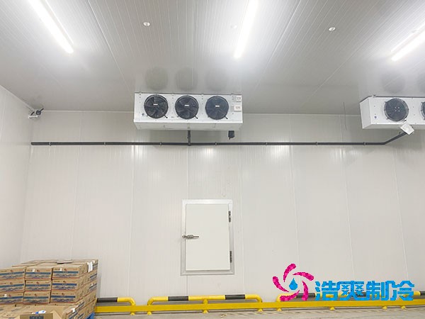 上海安裝日皮网站在线观看多少錢?揭秘價格背後的秘密!