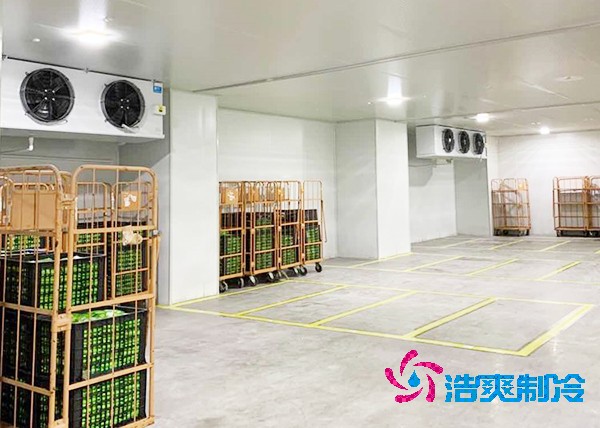 玉米日皮网站在线观看造價