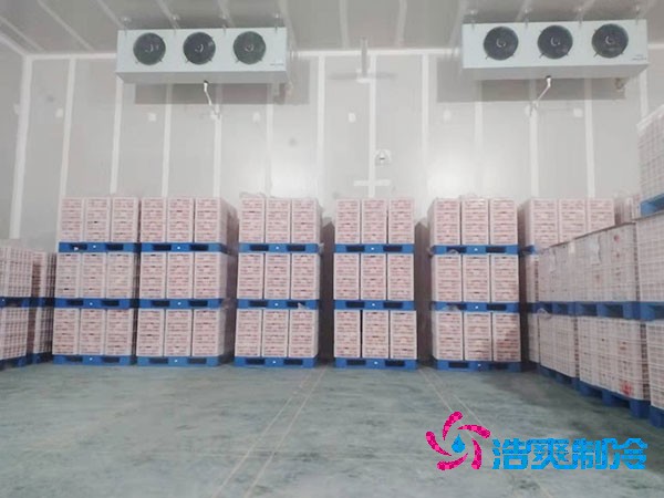 氣調保鮮日皮网站在线观看造價解析與建造服務