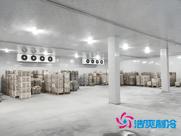 1000立方日皮网站在线观看造價預算及耗電量解析