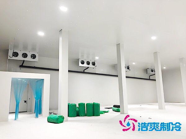 堅果日皮网站在线观看建設預算