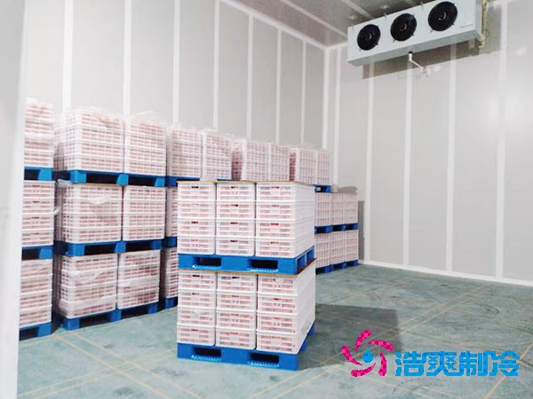 水果店日皮网站在线观看存儲保鮮方法,水果保鮮日皮网站在线观看造價成本