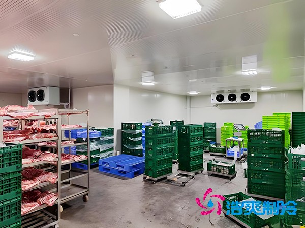 上海凍肉日皮网站在线观看造價