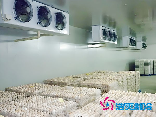 食品日皮网站在线观看溫度是多少度合適