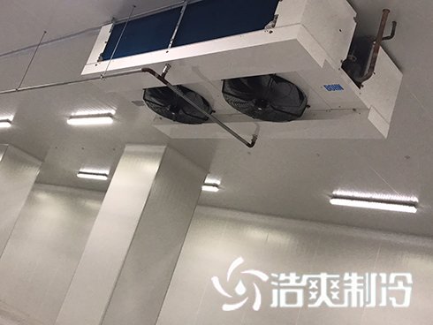 河北周黑鴨新工廠項目1#車間日皮网站在线观看建造