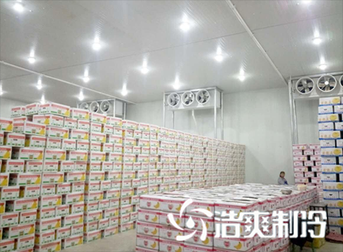 食品日皮网站在线观看建造價格