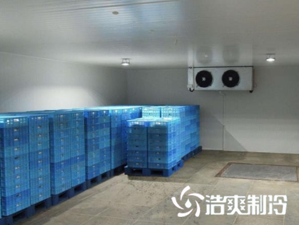 餐飲日皮网站在线观看建設