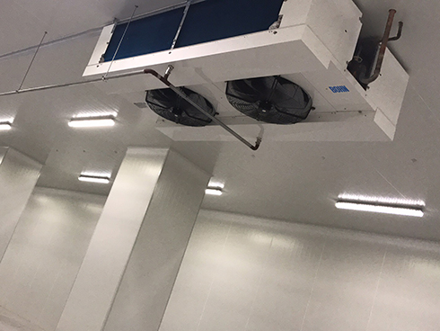 河北周黑鴨新工廠項目1#車間日皮网站在线观看建造工程案例