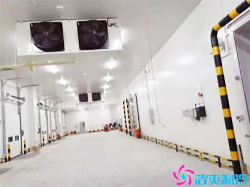 湖北78000m³食品加工日皮网站在线观看建造安裝