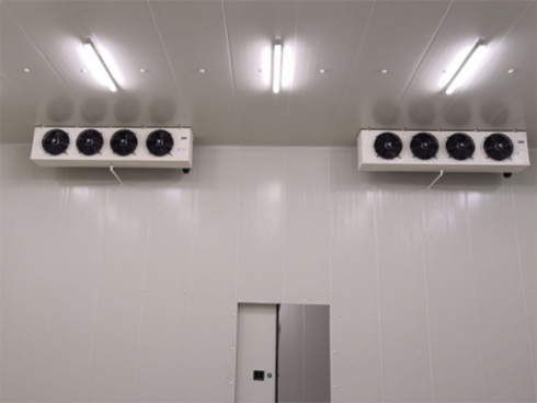 四川天翔食品多功能物流日皮网站在线观看建造工程